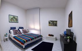 Casa Vet